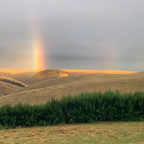 Lessismore Farm Afternoon Farmer - Accommodation Tasmania 1