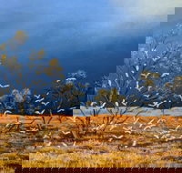 Lyn Barnes Gallery - Accommodation Tasmania