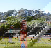 Maryboroughs Bollards - Accommodation Tasmania