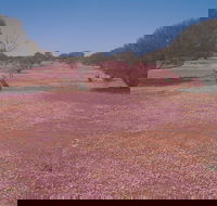 Meekatharra - Accommodation Tasmania