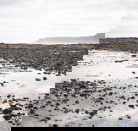 Mushroom Reef Beach - Accommodation Tasmania