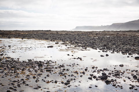 Mushroom Reef Beach - Accommodation Tasmania 0