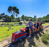 Naracoorte Mini Golf - Accommodation Tasmania