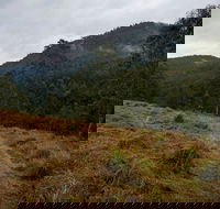 Nowendoc National Park - Accommodation Tasmania