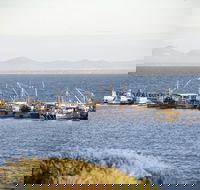 Portarlington - Accommodation Tasmania