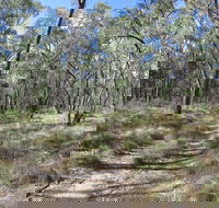 Reef Hills State Park - Accommodation Tasmania