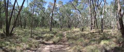 Reef Hills State Park - Accommodation Tasmania 0