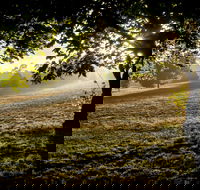 Ruffey Lake Park - Accommodation Tasmania