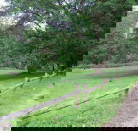 St Albans Reserve - Accommodation Tasmania