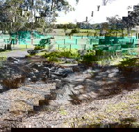 Tactical Paintball Games - Accommodation Tasmania