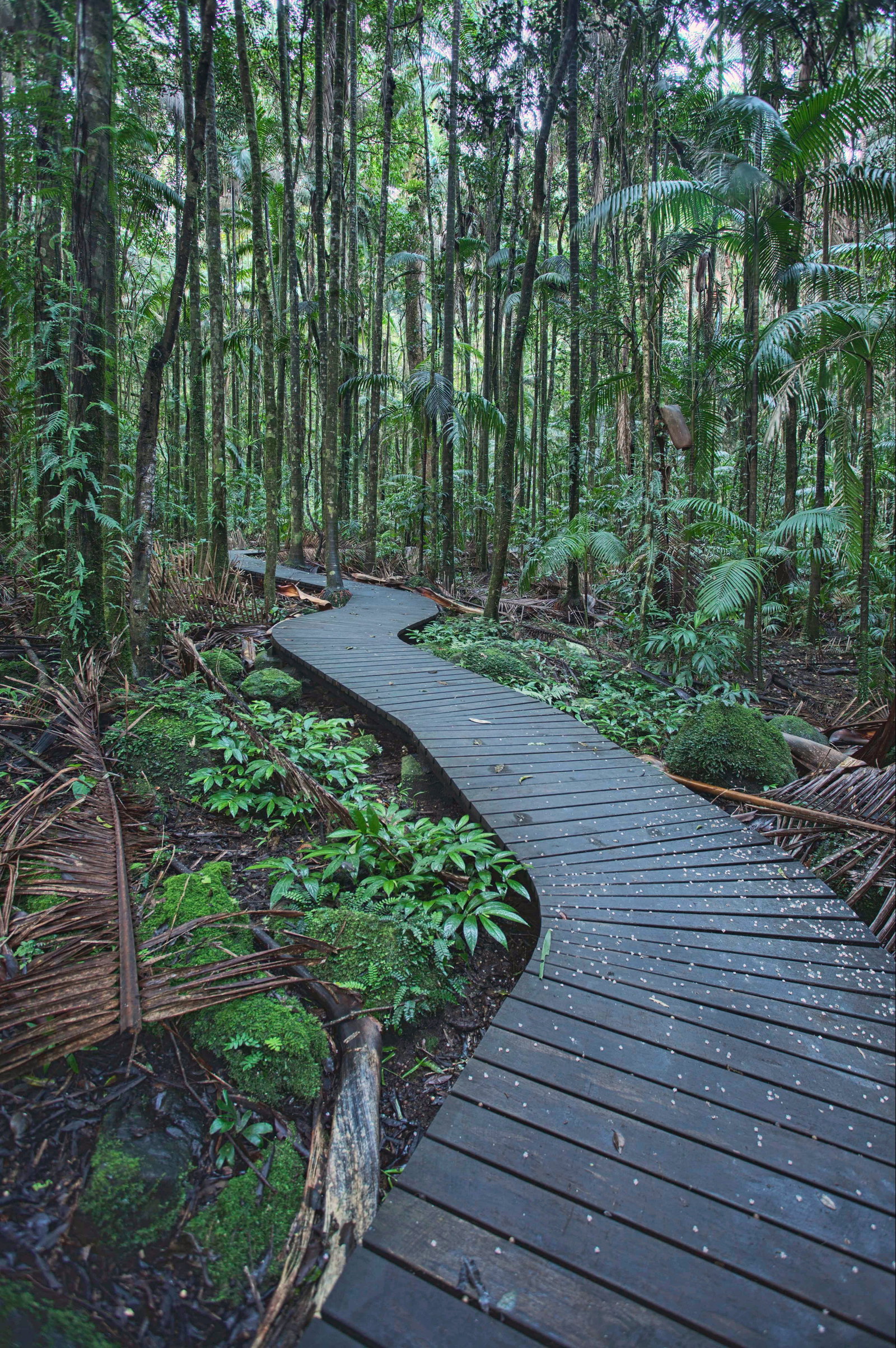 Lagoon Grass NSW Accommodation Tasmania