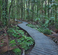 The Channon Protesters Falls Nimbin and Mount Nardi - Accommodation Tasmania