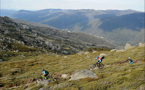 Thredbo Mountain Biking - Accommodation Tasmania 0