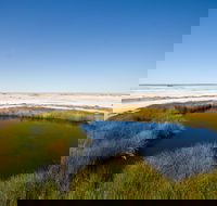 Wabma Kadarbu Mound Springs Conservation Park - Accommodation Tasmania