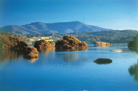 Wagonga Picnic Area - Accommodation Tasmania 0