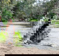 Warrandyte River Reserve - Accommodation Tasmania