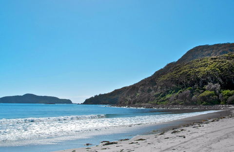 Yacaaba Headland Walking Track - Accommodation Tasmania 0