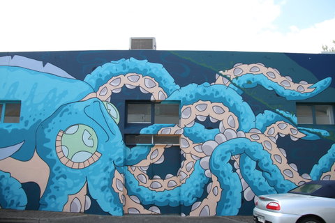 Adelaide Fringe Street Art Explosion - Accommodation Tasmania 2