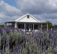 Amandine Lavender - Accommodation Tasmania