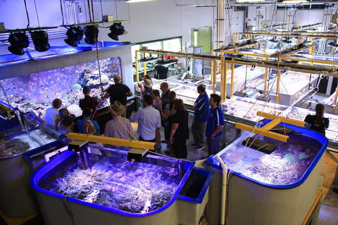 Australian Institute Of Marine Science - Accommodation Tasmania 0