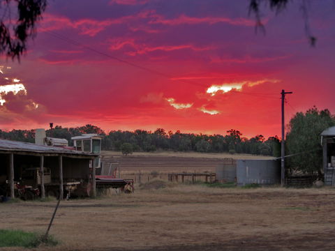 Baan Baa - Accommodation Tasmania 0