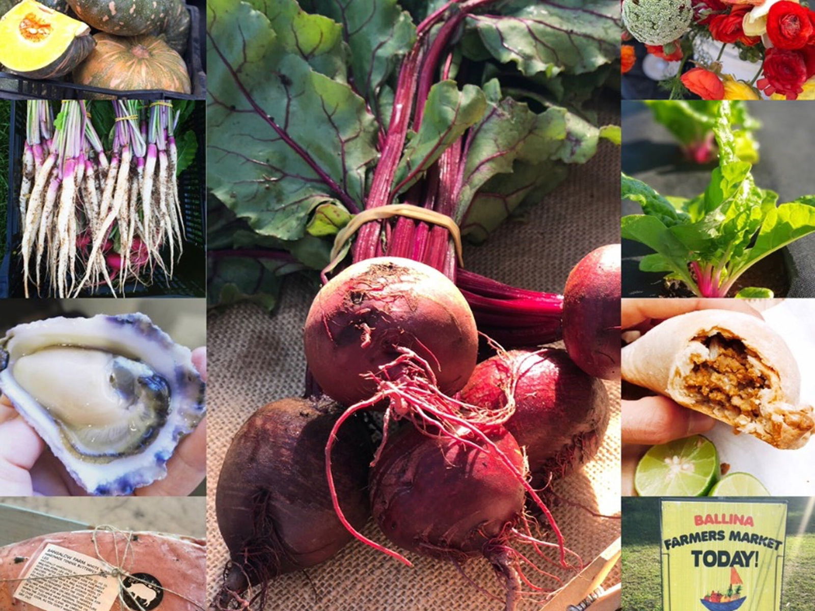  Accommodation Tasmania