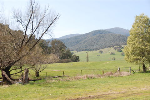 Banimboola Creek Rest Area - Accommodation Tasmania 0