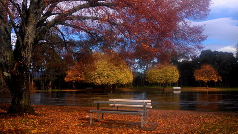 Bells Parade Reserve - Accommodation Tasmania 0