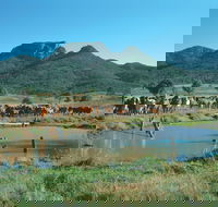 Biggenden - Accommodation Tasmania