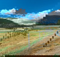 Blackwood River Tourist Drive - Accommodation Tasmania