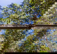 Bribie Island Bicentennial Trails - Accommodation Tasmania
