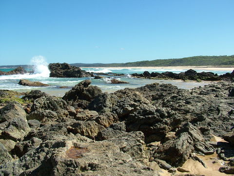 Coastal Walks - Bermagui - Accommodation Tasmania 0