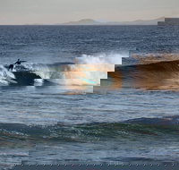 Coffs Coast State Park - Accommodation Tasmania