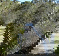 Falcon Crescent Link Track - Accommodation Tasmania