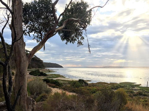 Fish Cannery Walking Trail - Accommodation Tasmania 0