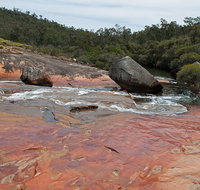 FR Berry Reserve - Accommodation Tasmania