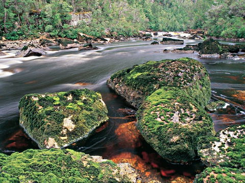 Gordon River - The - Accommodation Tasmania 2