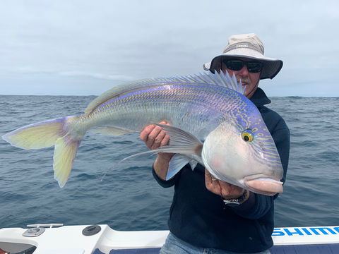 GT Fishing Charters - Accommodation Tasmania 1