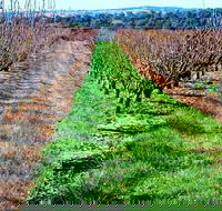 Hall Family Orchards - Accommodation Tasmania