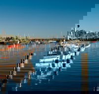 Iluka - Accommodation Tasmania