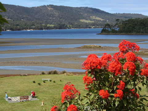 Inverawe Native Gardens - Accommodation Tasmania 1
