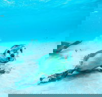 Jurien Bay - Accommodation Tasmania