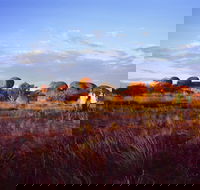Karlu Karlu / Devils Marbles Conservation Reserve - Accommodation Tasmania