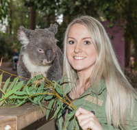 Koala Park Sanctuary - Accommodation Tasmania
