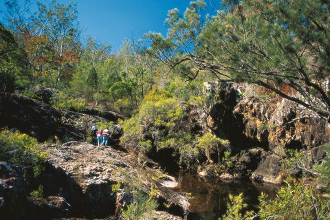 Kroombit Tops National Park - Accommodation Tasmania 0
