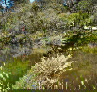 Kurth Kiln Regional Park - Accommodation Tasmania