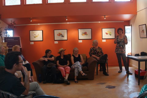 Magpie Springs Gallery - Accommodation Tasmania 1