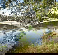Murray Valley National Park - Accommodation Tasmania