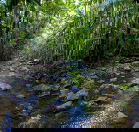 Nambucca Valley - Accommodation Tasmania