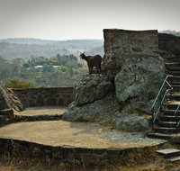 Nanny Goat Hill Lookout - Accommodation Tasmania